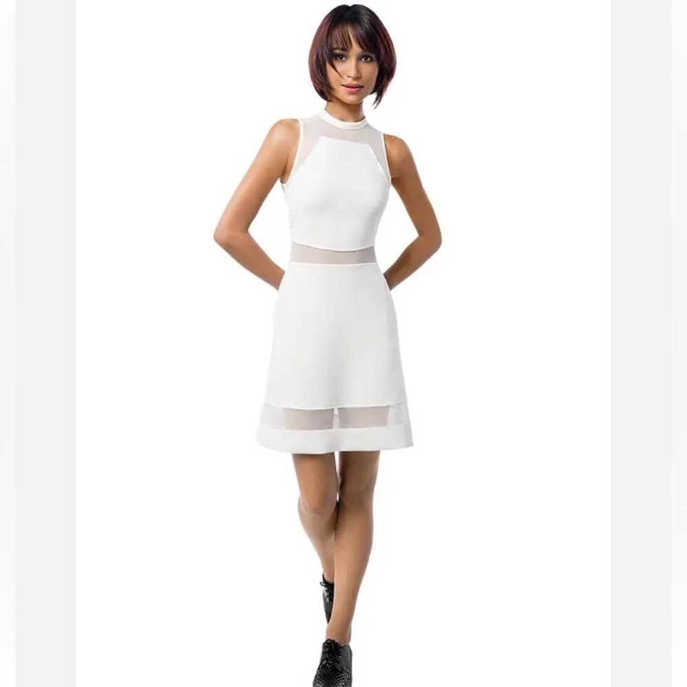 Topshop Mesh Insert Skater Dress